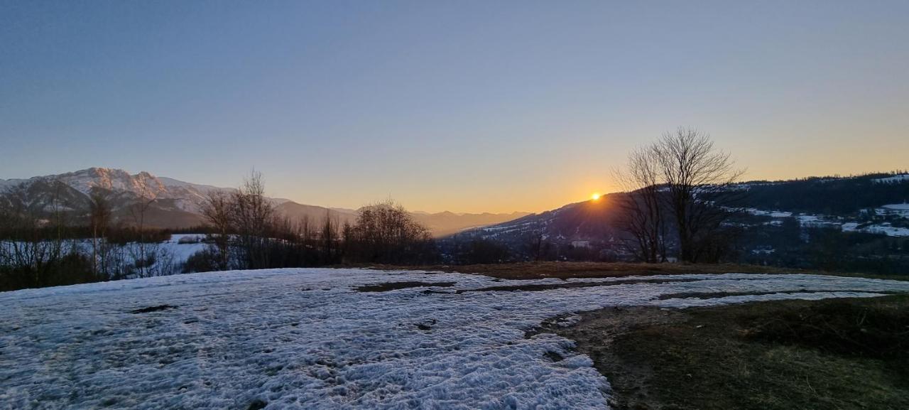 Apartament Żubry z Sauna Zakopane Zewnętrze zdjęcie